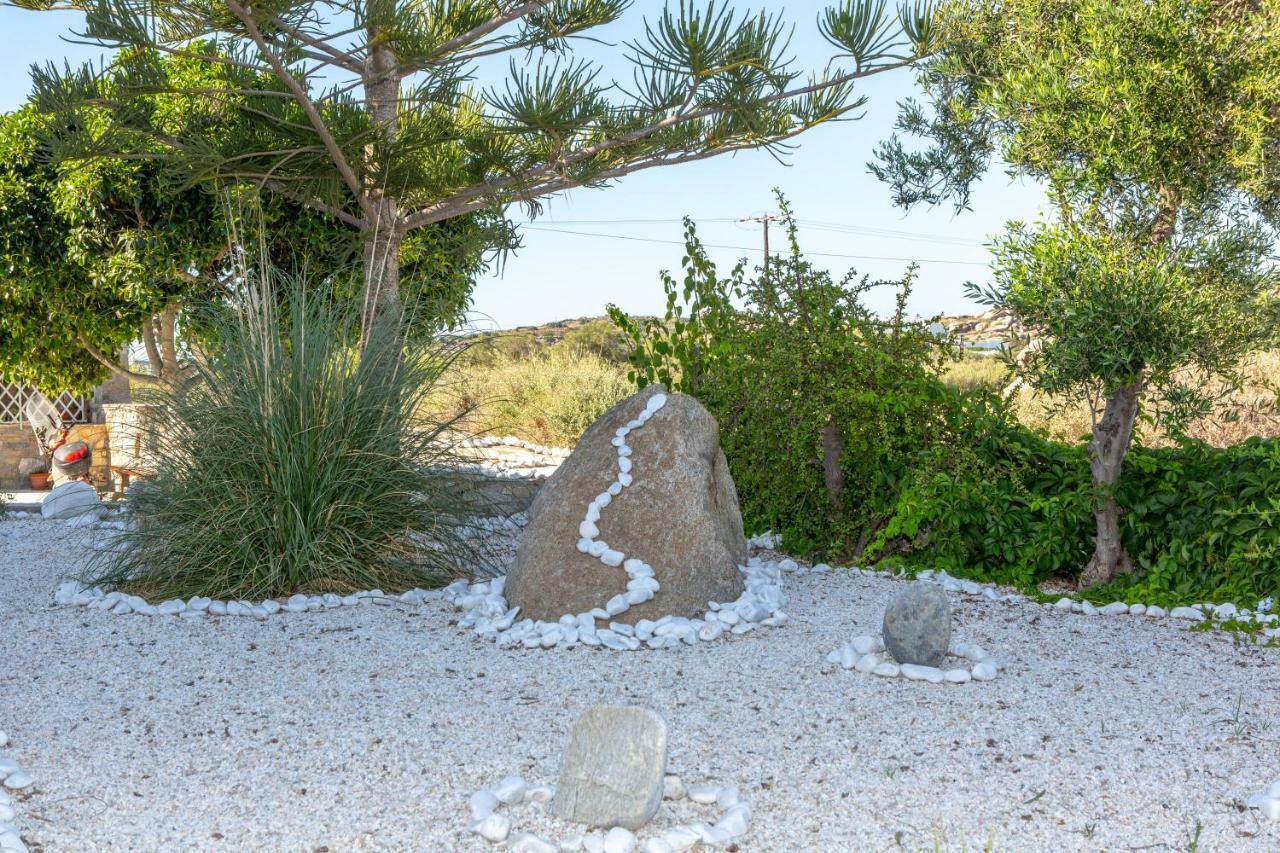 Thea Suites Naxos アギオス・プロコピオス エクステリア 写真