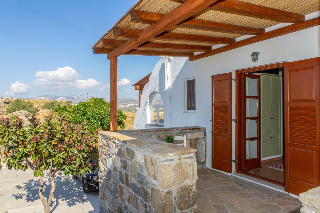 Thea Suites Naxos アギオス・プロコピオス エクステリア 写真